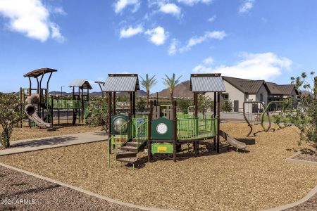 New construction Single-Family house 22871 East Watford Drive, Queen Creek, AZ 85142 Brandy- photo 10 10