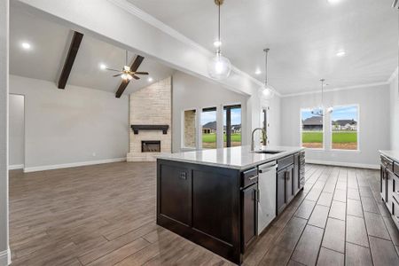 New construction Single-Family house 1055 Elevation Trail, Weatherford, TX 76087 - photo 12 12