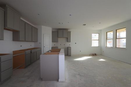 New construction Single-Family house 158 Lime St, Buda, TX 78610 Cadence- photo