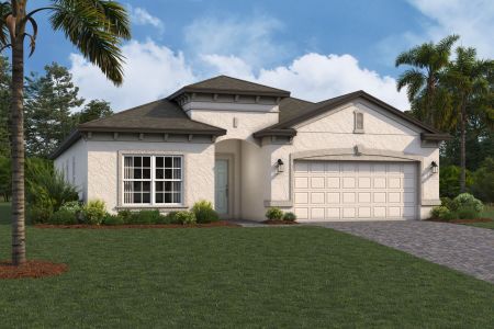 New construction Single-Family house Madeira II, 10805 Rolling Moss Road, Tampa, FL 33647 - photo