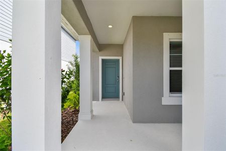 New construction Single-Family house 10417 Crooked Creek Court, Parrish, FL 34219 - photo 2 2