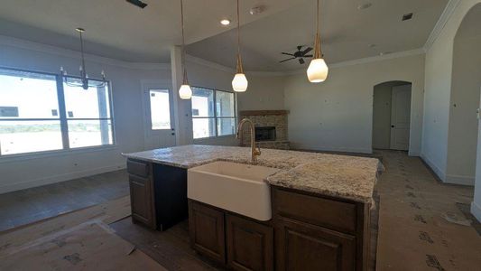 New construction Single-Family house 4117 Old Springtown Road, Weatherford, TX 76085 Bosque II- photo 11 11