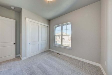 New construction Multi-Family house 8412 Cromwell Circle, Windsor, CO 80528 - photo 77 77