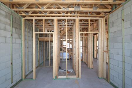 New construction Single-Family house 31870 Sapna Chime Drive, Wesley Chapel, FL 33545 Casanova- photo 22 22
