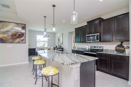New construction Single-Family house 12428 Shining Willow Street, Riverview, FL 33579 - photo 9