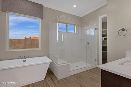 New construction Single-Family house 2517 E Presidio Street, Mesa, AZ 85213 - photo 17 17