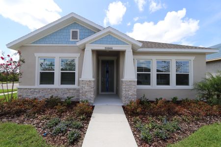 New construction Single-Family house 28866 Hillcrest Valley Blvd., Wesley Chapel, FL 33543 The Malone- photo 0