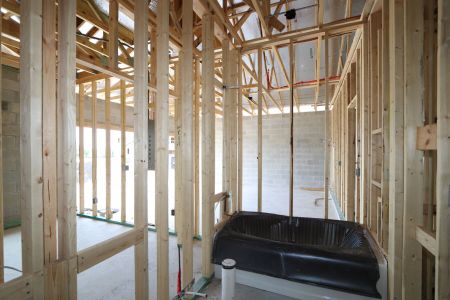 New construction Single-Family house 31843 Sapna Chime Drive, Wesley Chapel, FL 33545 Picasso- photo 23 23
