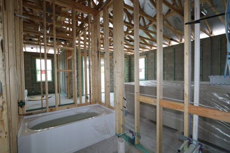 New construction Single-Family house 4837 Foxglove Circle, Lakeland, FL 33811 Picasso- photo 17 17