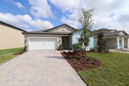 New construction Single-Family house 837 Hillshire Place, Spring Hill, FL 34609 Marque- photo 3 3