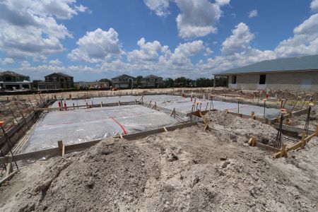 New construction Single-Family house 31852 Sapna Chime Drive, Wesley Chapel, FL 33545 Renau- photo 13 13