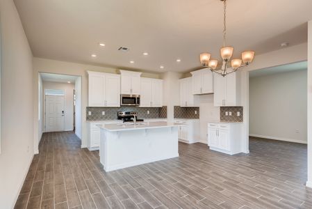 New construction Single-Family house 17270 Blazing Star Circle, Clermont, FL 34714 - photo 9 9