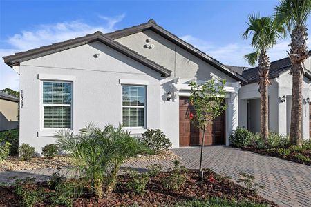 New construction Single-Family house 16956 Forge Surf Street, Land O' Lakes, FL 34638 Dayspring II*- photo 0