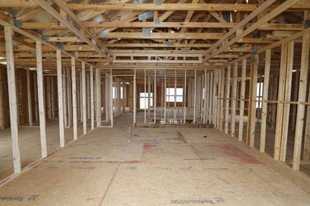 New construction Single-Family house 31810 Sapna Chime Drive, Wesley Chapel, FL 33545 Mira Lago- photo 11 11