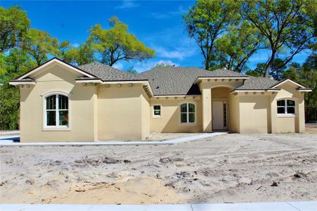 New construction Single-Family house 2210 S Sparkman Avenue, Orange City, FL 32763 - photo 0