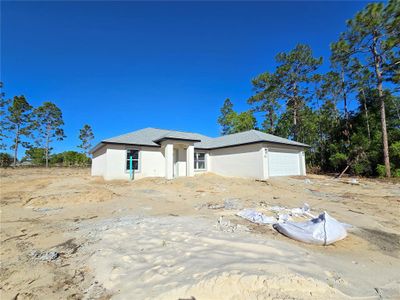 New construction Single-Family house 222 Locust Lane Drive, Ocala, FL 34472 - photo 5 5
