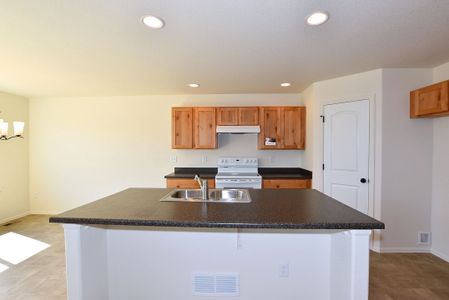 New construction Single-Family house 850 Forest Canyon Road, Severance, CO 80550 - photo 16 16