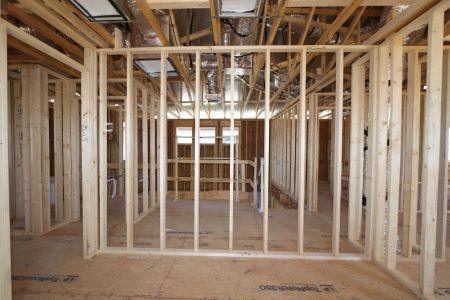 New construction Single-Family house 2463 Sunny Pebble Loop, Zephyrhills, FL 33540 Castellana- photo 32 32