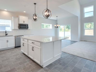 New construction Single-Family house Wilbanks Drive, Charlotte, NC 28278 - photo 52 52
