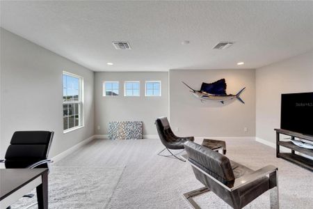 New construction Single-Family house 5995 Golden Nettle Drive, Apollo Beach, FL 33572 - photo 54 54