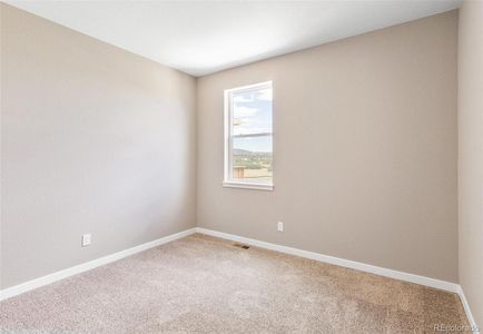 New construction Single-Family house 18359 Prince Hill Circle, Parker, CO 80134 HENLEY- photo 19 19