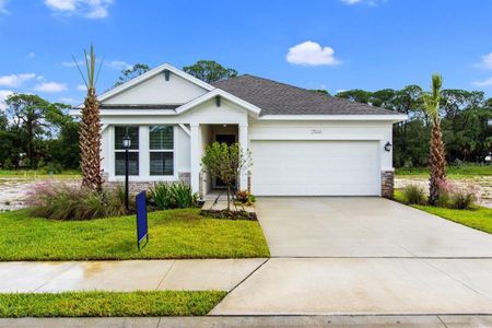 New construction Single-Family house 11824 Catawba Cove, Parrish, FL 34219 - photo 0