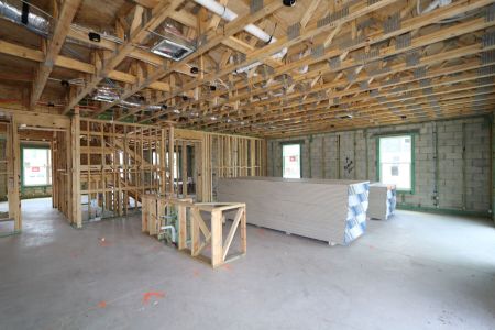 New construction Single-Family house 10634 New Morning Drive, Tampa, FL 33647 Grandshore II- photo 45 45