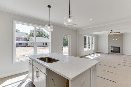 New construction Single-Family house 6026 Lights Ferry Road, Flowery Branch, GA 30542 - photo 13 13