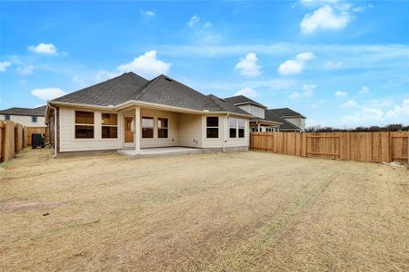 New construction Single-Family house 284 Hurley St, Kyle, TX 78640 Premier Series - Palm- photo 15 15