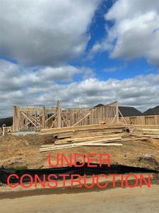 New construction Single-Family house 16768 Bristle Cone Way, Conroe, TX 77302 Salerno- photo 28 28