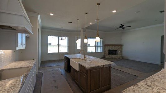 New construction Single-Family house 4117 Old Springtown Road, Weatherford, TX 76085 Bosque II- photo 9 9