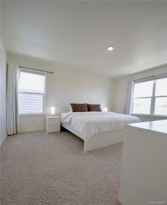 New construction Single-Family house 508 Morning Tide Avenue, Fort Lupton, CO 80621 - photo 4 4
