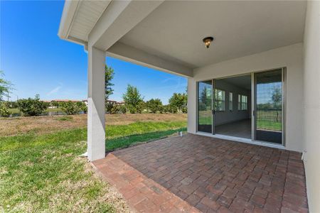 New construction Single-Family house 9732 Bucklow Hill Drive, Orlando, FL 32832 - photo 26 26