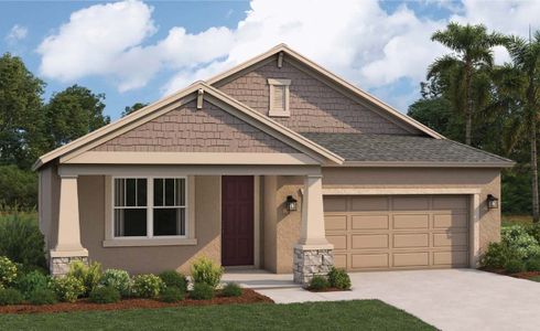 New construction Single-Family house 50' - Solana, Ackley Trace, Wesley Chapel, FL 33541 - photo
