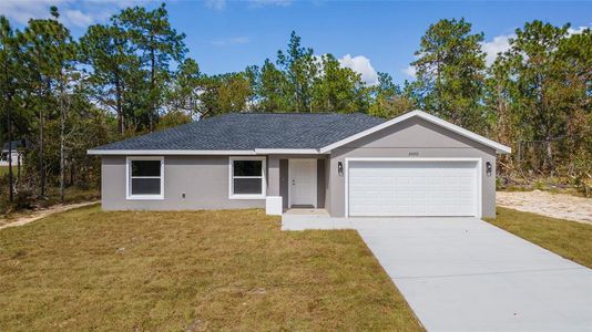 New construction Single-Family house 24053 Nw Tamarind Lane, Dunnellon, FL 34431 - photo 50 50
