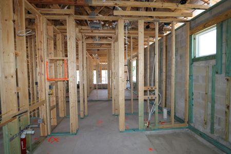 New construction Single-Family house 7654 Hemlock Seed Drive, Wesley Chapel, FL 33545 Corina  III- photo 10 10