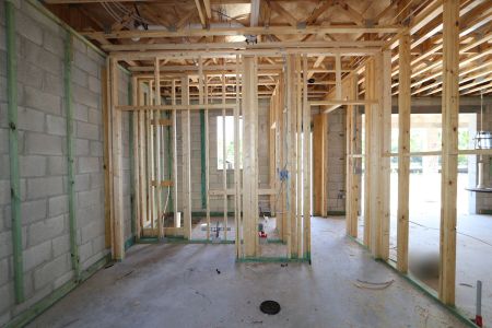New construction Single-Family house 10605 New Morning Drive, Tampa, FL 33647 Sonoma II- photo 16 16