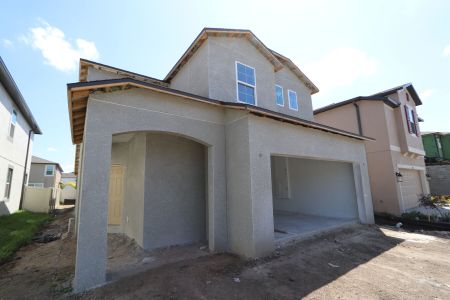 New construction Single-Family house 2868 Misty Marble Drive, Zephyrhills, FL 33540 Herrera- photo 80 80