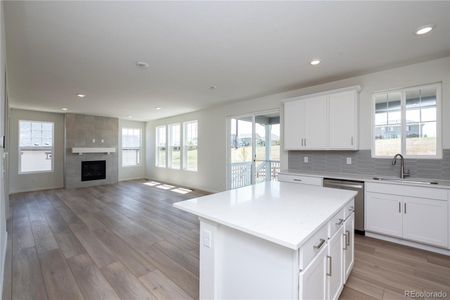 New construction Single-Family house 1871 Water Birch Way, Castle Rock, CO 80108 - photo 13 13