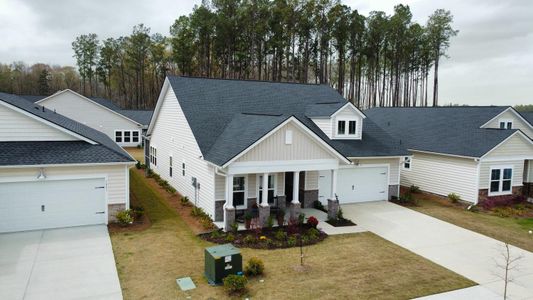 New construction Single-Family house 1005 Locals Street, Summerville, SC 29485 - photo 40 40