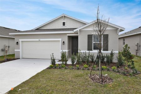 New construction Single-Family house 560 Hennepin Loop, Lake Wales, FL 33898 - photo 0