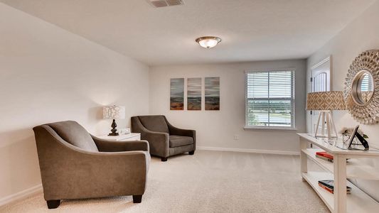 New construction Townhouse house 1752 Red Canyon Drive, Kissimmee, FL 34744 SANDHILL- photo 21 21