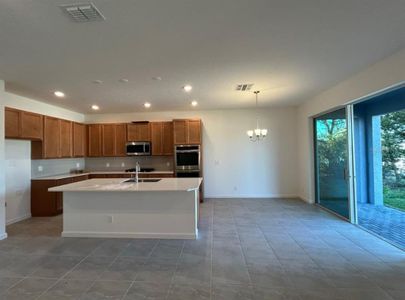 New construction Single-Family house 2320 Sirena Lane, Mount Dora, FL 32757 - photo