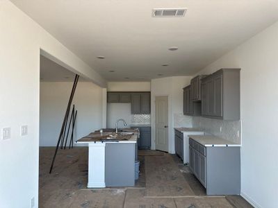 New construction Single-Family house 1236 Comal Lane, Springtown, TX 76082 Lavon- photo 13 13