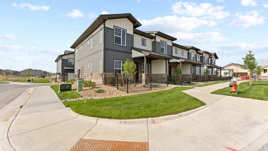 New construction Townhouse house 827 Schlagel Street, Fort Collins, CO 80524 - photo 1 1