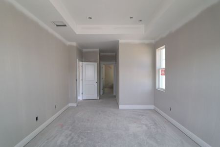 New construction Single-Family house 10712 New Morning Drive, Tampa, FL 33647 Madeira II- photo 5 5