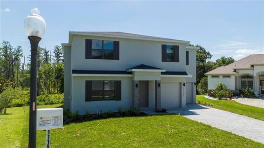 New construction Single-Family house 11102 Crooked River Court, Clermont, FL 34711 - photo