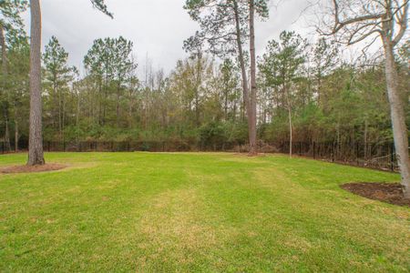 New construction Single-Family house 25019 Butler Hill Court, Tomball, TX 77375 - photo 46 46