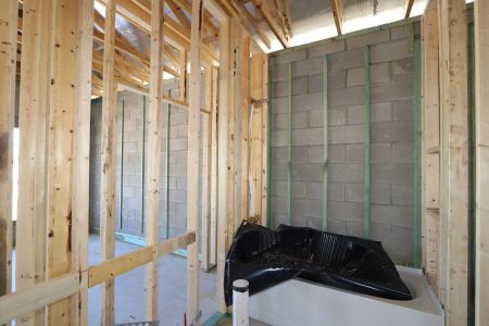 New construction Single-Family house 32568 Sapna Chime Drive, Wesley Chapel, FL 33545 Barcello- photo 16 16