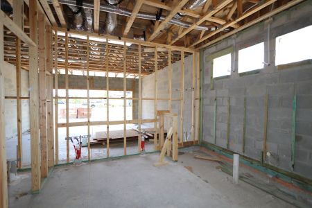 New construction Single-Family house 2530 Sunny Pebble Loop, Zephyrhills, FL 33540 Salinas- photo 24 24